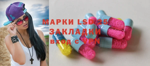PSILOCYBIN Алзамай