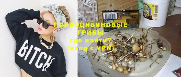 PSILOCYBIN Алзамай