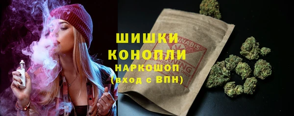 PSILOCYBIN Алзамай