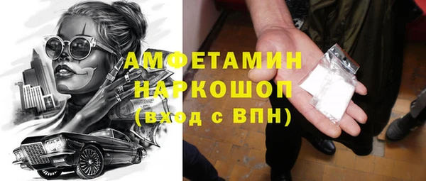 PSILOCYBIN Алзамай